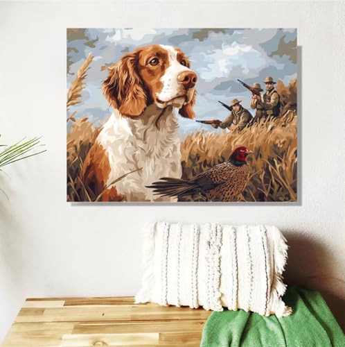 Malen Nach Zahlen Erwachsene Groß 40x50cm, Hund Malen Nach Zahlen Tier DIY Handgemalt Ölgemälde Leinwand Paint by Numbers Kit Mit Pinseln und Acrylfarbe Geschenke für Frauen (Mit Rahmen ) M-202 von Anmiong