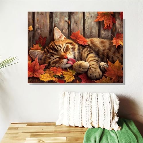 Malen Nach Zahlen Erwachsene Groß 40x50cm, Katze Malen Nach Zahlen Herbst DIY Handgemalt Ölgemälde Leinwand Paint by Numbers Kit Mit Pinseln und Acrylfarbe Geschenke für Frauen (Mit Rahmen ) M-407 von Anmiong