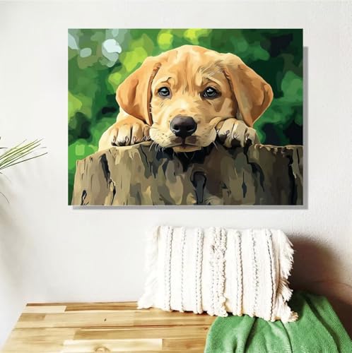 Malen Nach Zahlen Erwachsene Hund Malen Nach Zahlen Niedlich Paint by Numbers für Anfänger,DIY Handgemalt Ölgemälde Leinwand Kit,Pinseln Acrylfarben Bastelset,Home Wand Dekor Geschenk 80x100cm M-222 von Anmiong