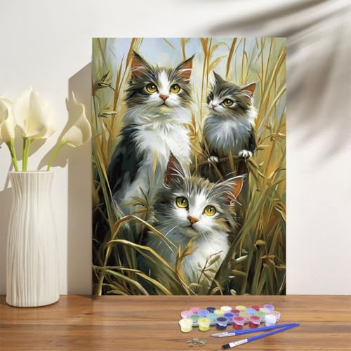 Malen Nach Zahlen Erwachsene Katze Malen Nach Zahlen Niedlich Paint by Numbers DIY Handgemalt Ölgemälde Leinwand Bastelset Kit mit Pinseln Acrylfarben,Zimmer Deko Geschenk 50x70cm Mit Rahmen M-1055 von Anmiong