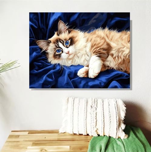 Malen Nach Zahlen Erwachsene Katze Malen Nach Zahlen Tier Paint by Numbers DIY Handgemalt Ölgemälde Leinwand Bastelset Kit mit 3-Pinseln und Acrylfarben, Zimmer Deko Geschenk 50x70cm Mit Rahmen M-371 von Anmiong