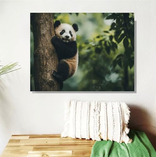 Malen Nach Zahlen Erwachsene Panda Malen Nach Zahlen Baum Paint by Numbers für Anfänger, DIY Handgemalt Ölgemälde Leinwand Kit mit Pinseln Acrylfarben Bastelset, Home Wand Dekor Geschenk 30x40cm M-591 von Anmiong