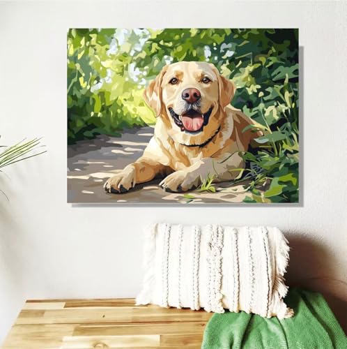 Malen Nach Zahlen Erwachsene Tier Malen Nach Zahlen Hund Paint by Numbers DIY Handgemalt Ölgemälde Leinwand Bastelset Kit mit 3-Pinseln und Acrylfarben, Zimmer Deko Geschenk 50x70cm Mit Rahmen M-72 von Anmiong