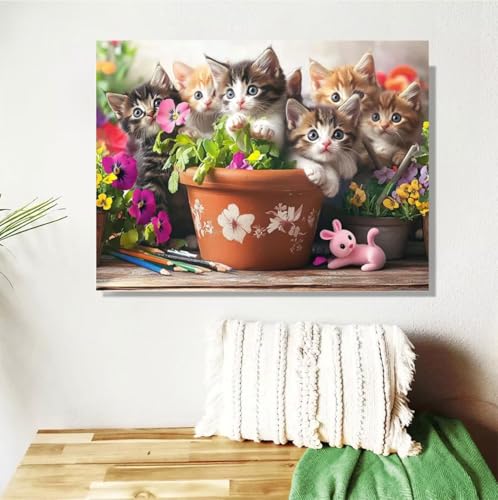 Malen Nach Zahlen ab 7 8 9 Jahre Mädchen,Blume Malen Nach Zahlen Erwachsene Kinder und Anfänger,20x30cm Malen-Nach-Zahlen Katze Faltenfreie Leinwand Ölgemälde Kit,kreatives Geschenk (Mit Rahmen) M-290 von Anmiong