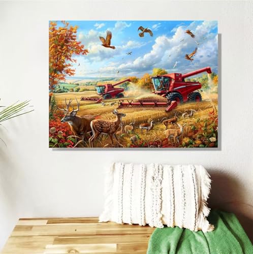 Malen Nach Zahlen ab 7 8 9 Jahre Mädchen,Herbst Malen Nach Zahlen Erwachsene Kinder Anfänger,20x30cm Malen-Nach-Zahlen Landschaft Faltenfreie Leinwand Ölgemälde Kit,Kreatives Geschenk Mit Rahmen M-459 von Anmiong