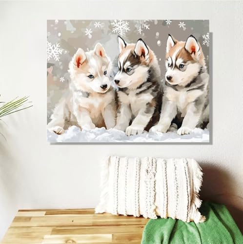 Malen Nach Zahlen ab 7 8 9 Jahre Mädchen,Hund Malen Nach Zahlen Erwachsene Kinder und Anfänger,20x30cm Malen-Nach-Zahlen heiser Faltenfreie Leinwand Ölgemälde Kit,kreatives Geschenk (Mit Rahmen) M-211 von Anmiong