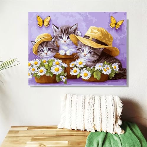 Malen Nach Zahlen ab 7 8 9 Jahre Mädchen,Katze Malen Nach Zahlen Erwachsene Kinder,20x30cm Malen-Nach-Zahlen Schmetterling Faltenfreie Leinwand Ölgemälde Kit,Kreatives Geschenk Mit Rahmen M-388 von Anmiong