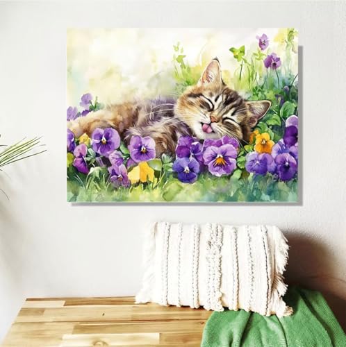 Malen Nach Zahlen ab 7 8 9 Jahre Mädchen,Katze Malen Nach Zahlen Erwachsene Kinder Anfänger,20x30cm Malen-Nach-Zahlen Niedlich Faltenfreie Leinwand Ölgemälde Kit,Kreatives Geschenk Mit Rahmen M-403 von Anmiong