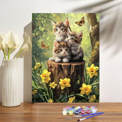 Malen Nach Zahlen ab 7 8 9 Jahre Mädchen,Katze Malen Nach Zahlen Erwachsene Kinder und Anfänger,20x30cm Malen-Nach-Zahlen Blume Faltenfreie Leinwand Ölgemälde Kit,Kreatives Geschenk Mit Rahmen M-1043 von Anmiong