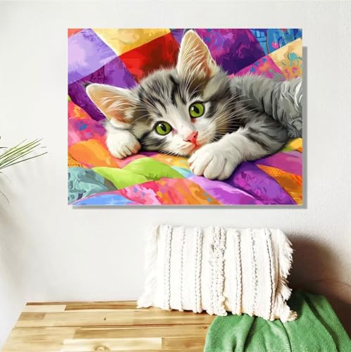 Malen Nach Zahlen ab 7 8 9 Jahre Mädchen,Katze Malen Nach Zahlen Erwachsene Kinder und Anfänger,20x30cm Malen-Nach-Zahlen Farbe Faltenfreie Leinwand Ölgemälde Kit,kreatives Geschenk (Mit Rahmen) M-365 von Anmiong