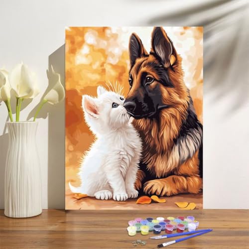 Malen Nach Zahlen ab 7 8 9 Jahre Mädchen,Katze Malen Nach Zahlen Erwachsene Kinder und Anfänger,20x30cm Malen-Nach-Zahlen Hund Faltenfreie Leinwand Ölgemälde Kit,kreatives Geschenk (Mit Rahmen) M-1040 von Anmiong