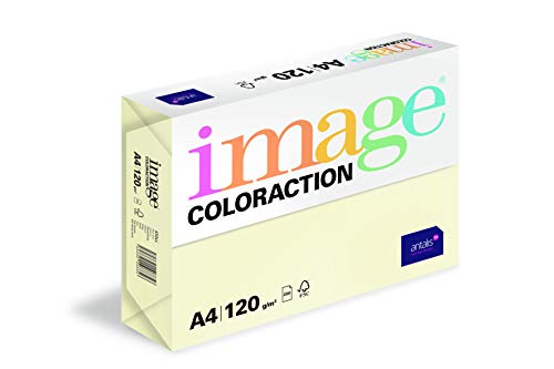 Image Coloraction Atoll - farbiges Kopierpapier - DIN A4, 210 x 297 mm, 120 g/m² - buntes, holzfreies Druckerpapier für Kopierer - 250 Blatt - Elfenbeinfarben von IMAGE