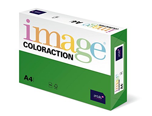 Image Coloraction Dublin - farbiges Kopierpapier - DIN A4, 210 x 297 mm, 160 g/m² - buntes, holzfreies Druckerpapier für Kopierer - 250 Blatt - Dunkelgrün von IMAGE
