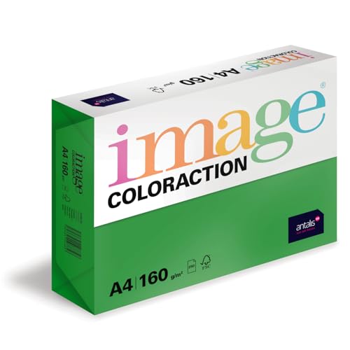 Image Coloraction Dublin - farbiges Kopierpapier - DIN A4, 210 x 297 mm, 160 g/m² - buntes, holzfreies Druckerpapier für Kopierer - 250 Blatt - Dunkelgrün von IMAGE