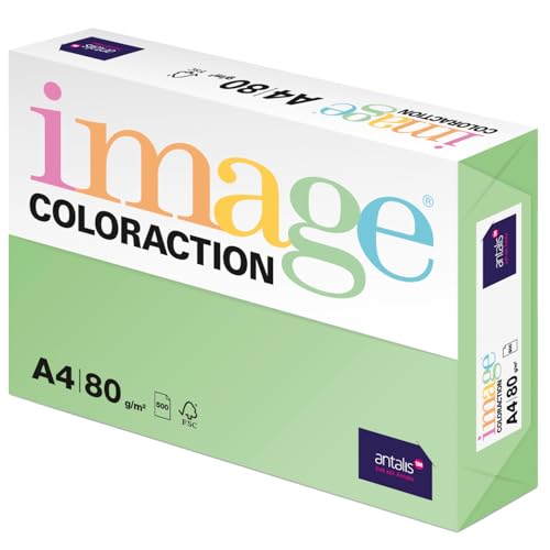 Image Coloraction Forest - farbiges Kopierpapier - DIN A4, 210 x 297 mm, 80 g/m² - buntes, holzfreies Druckerpapier für Kopierer - 500 Blatt - Grün von Antalis