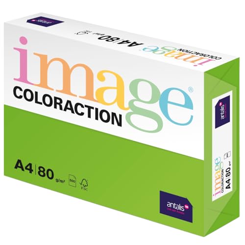 Image Coloraction Java - farbiges Kopierpapier - DIN A4 210 x 297 mm, 80 g/m² - buntes, holzfreies Druckerpapier für Kopierer - 500 Blatt - Maigrün von IMAGE