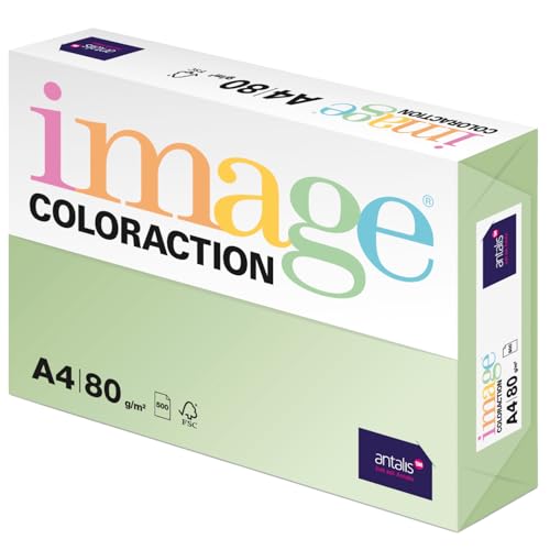 Image Coloraction Jungle - farbiges Kopierpapier - DIN A4, 210 x 297 mm, 80 g/m² - buntes, holzfreies Druckerpapier für Kopierer - 500 Blatt - Hellgrün von IMAGE