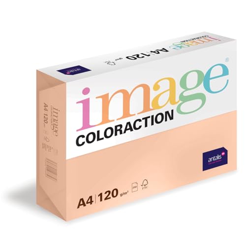 Image Coloraction Savana - farbiges Kopierpapier - DIN A4, 210 x 297 mm, 120 g/m² - buntes, holzfreies Druckerpapier für Kopierer - 250 Blatt - Salm von Antalis