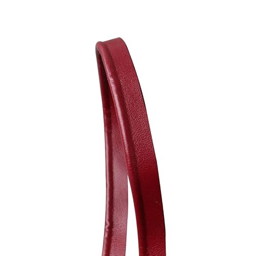 5 m Bordeauxrote Lederpaspel-Bordüre, 1 cm breit, Paspelband, paspeliert, für Kleidung, Stoffkante, Nähband 5 m Bordeauxrote Lederpaspel-Bordüre, 1 cm breit, Paspelband, paspeliert, für Kleidung, Stoffkante, Nähband von Aoktorkit