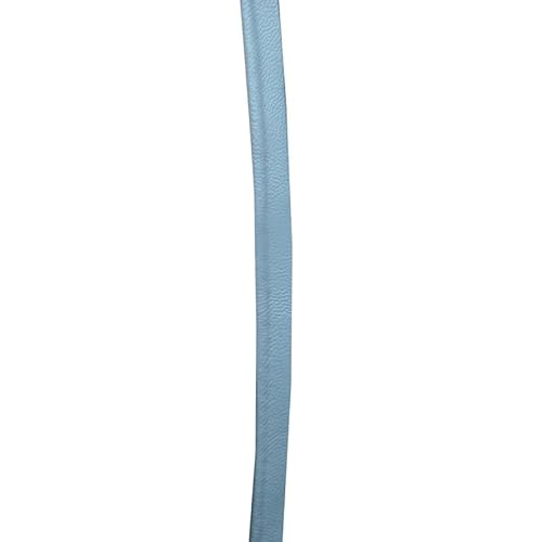 5 m lange Lederpaspelierung, 1 cm breit, Paspelband, paspeliert, für Kleidung, Stoffkante, Nähband 5 m lange Lederpaspelierung, 1 cm breit, Paspelband, paspeliert, für Kleidung, Stoffkante, Nähband von Aoktorkit