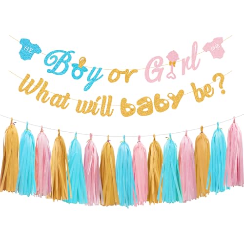 Aonor Gender Reveal Dekorationen - Glitzernde Junge oder Mädchen Banner, What Will Baby Be Banner und Quaste Girlande für Babyparty Geschlecht Enthüllung Party Dekorationen von Aonor