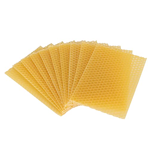 Aoveew Beeswax Frame 10pcs Bienenstock -Wachsgrund, natürlich und sicher, um Bienen, Möbelpolieren und Kunsthandwerk anzuziehen von Aoveew