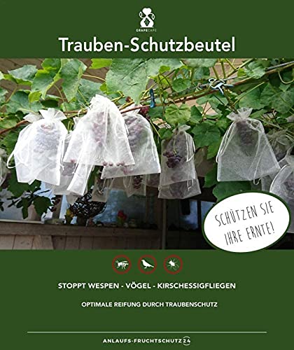 50 Stück Trauben-Schutzbeutel 30x20cm, Frucht-Schutzbeutel, Organzabeutel, Sind Einfach Anzubringen Mit Zugband, Zum Schutz Vor Wespenfrass, Vögel, Kirschessigfliege Und Andere Insekten (Weiß) von Applyvt