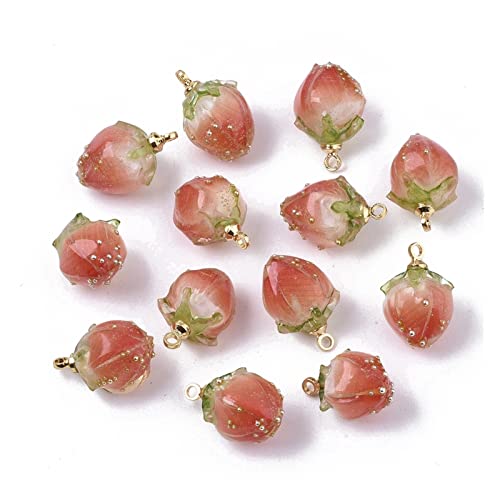 Aqxyxsw 20 stücke handgemachte natürliche echte getrocknete blume anhänger rosa knospe form harz charme perlen mit epoxidharz schmuck DIY. Ohrringe lingli(Coral) von Aqxyxsw