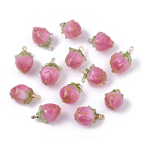 Aqxyxsw 20 stücke handgemachte natürliche echte getrocknete blume anhänger rosa knospe form harz charme perlen mit epoxidharz schmuck DIY. Ohrringe lingli(Hot Pink) von Aqxyxsw