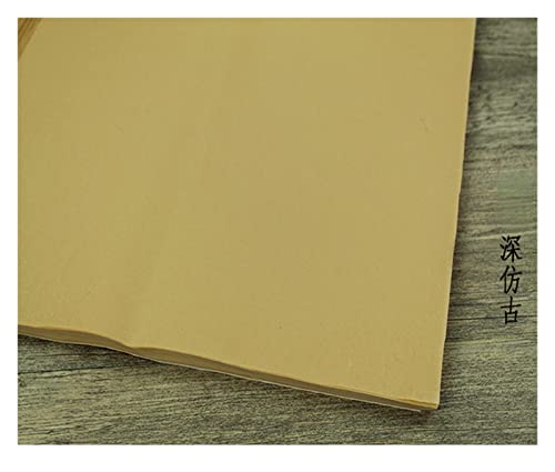 Aqxyxsw Chinesisches handgefertigtes Glimmerreifes Reispapier Sorgfältige Malerei Erstellung Kopie Xuan Papier Kleines regelmäßiges Skriptpinsel Kalligrafiepapier lingli(A,33x66cm 20sheets) von Aqxyxsw