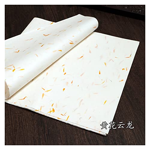 Aqxyxsw Halbreifes Reispapier Handgemachte Blumenpflanzen Langfaser Yunlong Xuan Papier Kalligraphiepinsel Schreiben Malpapier Schreibwaren lingli(C,34 x 138cm) von Aqxyxsw