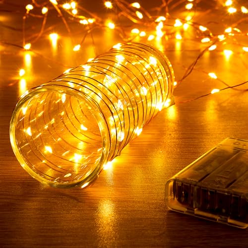 Ariceleo 5 Meters LED Lichterkette - 1 Packungen, Warmweiß, 50 LEDs, 3*AA batteriebetrieben mit Timer und Funkelmodus, ideal für Weihnachten und Hochzeiten von Ariceleo