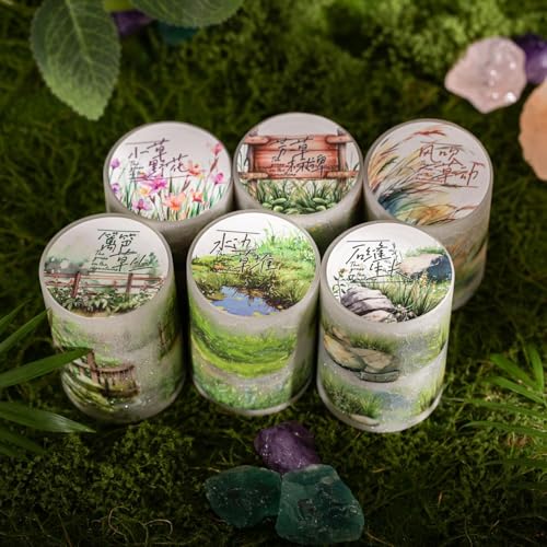 Arpaper Scrapbooking Zubehör Stickers,6 Rolls PET Grass Blumen Aesthetic Washi Tape Stickers Decorative for Journal,Photo Album,Bullet Journal Zubehör,Notebook(Mountain Grass Series) von Arpaper