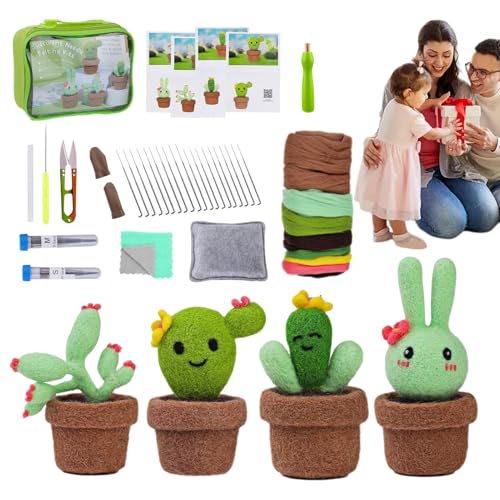 Arroopu Nadelfilzzubehör, Sukkulenten-Nadelfilz-Anfänger-Kits,Saftige Nadelfilz-Anfänger-Kits | Sukkulenten-Filz-Sets, Wolle-Rohstoffpaket für kleine Blumentopf-Dekorationen, Topfpflanzen von Arroopu