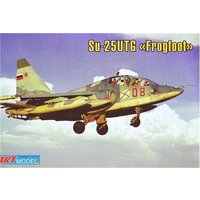 Sukhoi Su-25UTG von Art Model