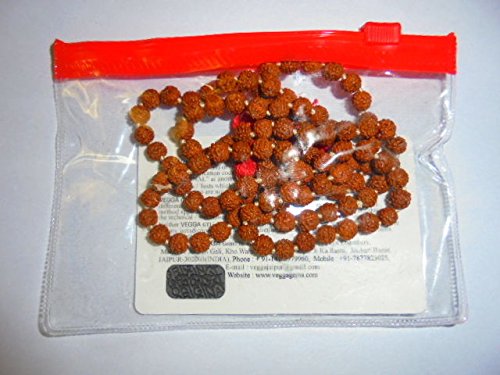 Artcollectibles India Rudraksha 5 Mukhi Gesicht Rudraksh Mala 6 mm 108 Perlen zertifiziert energetisiert Yoga von Artcollectibles India