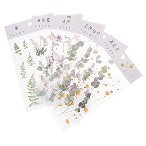 ARTIBETTER 5 Stück Pflanzenaufkleber Ästhetische Diy Dekoration für Planer Scrapbooking und Journaling Selbstklebende Pet Sticker für Bastelprojekte und Persönliche Gestaltung ARTIBETTER 5 Stück Pflanzenaufkleber Ästhetische Diy Dekoration für Planer Scrapbooking und Journaling Selbstklebende Pet Sticker für Bastelprojekte und Persönliche Gestaltung von Artibetter