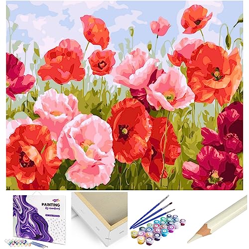 Artnapi Malen nach Zahlen Erwachsene mit Rahmen | DIY Handgemalt | Blumen - Mohnfeld | Kit für Anfänger und Erwachsene | Set inklusive Acrylfarben & Pinsel | 40x50cm Leinwand | Ideal als Geschenk von Artnapi