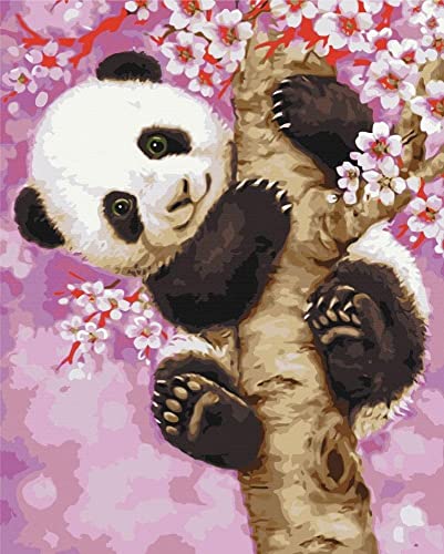 Artnapi Malen nach Zahlen Erwachsene mit Rahmen | DIY Handgemalt | Tiere - Süßer Panda | Kit für Anfänger und Erwachsene | Set inklusive Acrylfarben & Pinsel | 40x50cm Leinwand | Ideal als Geschenk von Artnapi