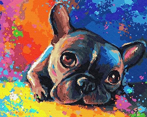 Artnapi Malen nach Zahlen Erwachsene mit Rahmen | DIY Handgemalt | Farbige Bulldogge | Kit für Anfänger und Erwachsene | Set inklusive Acrylfarben & Pinsel | 40x50cm Leinwand | Ideal als Geschenk von Artnapi