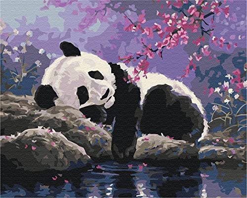 Artnapi Malen nach Zahlen Erwachsene mit Rahmen | DIY Handgemalt | Tiere - Panda-Traum | Kit für Anfänger und Erwachsene | Set inklusive Acrylfarben & Pinsel | 40x50cm Leinwand | Ideal als Geschenk von Artnapi