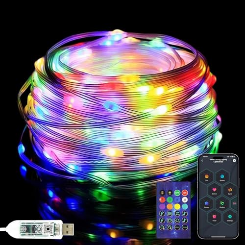 10M RGB Lichterkette Innen Außen USB 100LED Lichterschlauch Mit Fernbedienung App Steuerung Bunt String Lights Sync Musik Timer IP65 Für Weihnachten Party Hochzeit Deko von Artrastar