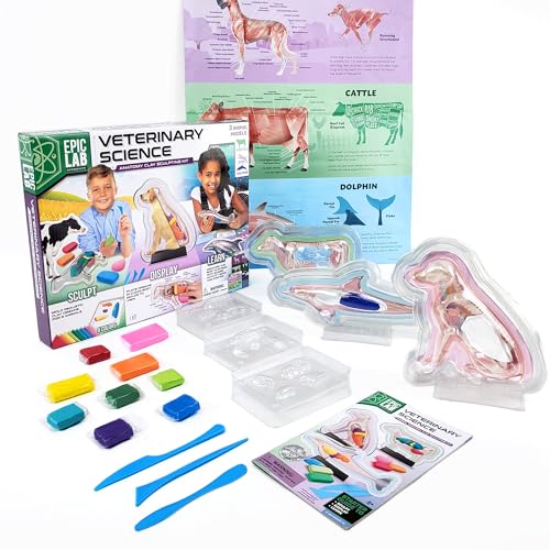 ArtSkills Epic Lab Tierarzt-Kit für Kinder, Tieranatomie-Set für Kinder ab 8 Jahren, mit Modelliermasse von Artskills