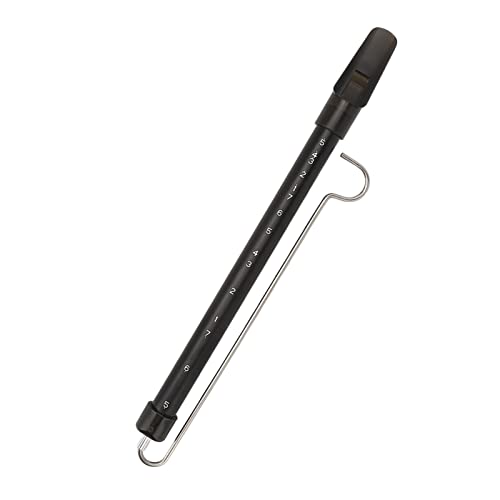 Asixxsix Slide Whistle, Eltern-Kind-Spiele Slide Whistle Instrument Spielzeug Klarer und Klarer Ton Gleitstangen mit Aluminiumlegierungsgehäuse und Waage für Pädagogische Partygeschenke von Asixxsix