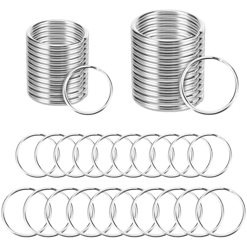 Auauraintt 200 Stück Edelstahl Schlüsselringe, 2 Größen Schlüsselring (100 Stück*25 mm,100 Stück*30 mm), Schlüsselanhänger Ring für DIY Schlüssel Ringe und Basteln, Ornamente von Auauraintt