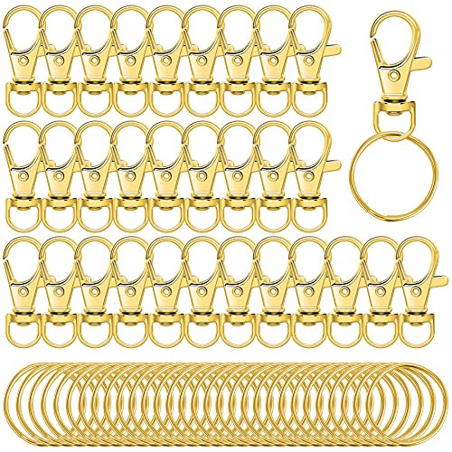 60 Stück Schlüsselanhänger Clip Haken Drehverschlüsse Lanyard Karabinerhaken mit geteilten Schlüsselringen (Golden) von Augshy