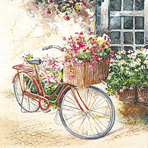 AvanCarte Servietten Tischdeko Geburtstag Natur Fahrrad 20 Stück 3-lagig 33x33cm von AvanCarte