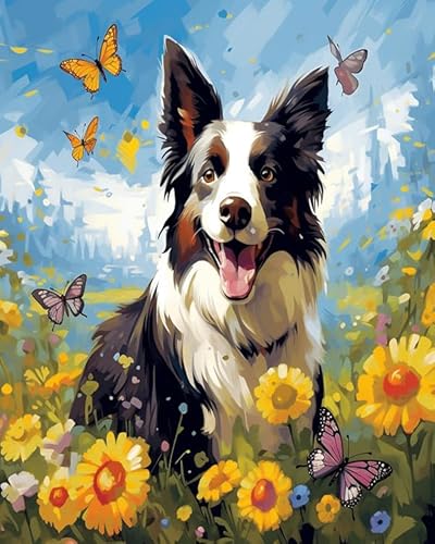 AxiangziK DIY Vorgedruckt Stickbilder Stickset 11CT Hund,Border Collie liegt auf dem Dach,Kreuzstich Stickpackung,Handwerk Home Decor Starter-Set für Wandkunst,16x20in von AxiangziK