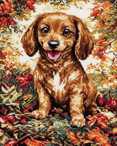 AxiangziK Haustier Hund ART Cross Stitch Kits Stamped for Adults Beginner Kids,Dackel,DIY Handmade Needlework kit,11CT Needlework Crafts Embroidery,40x50cm von AxiangziK