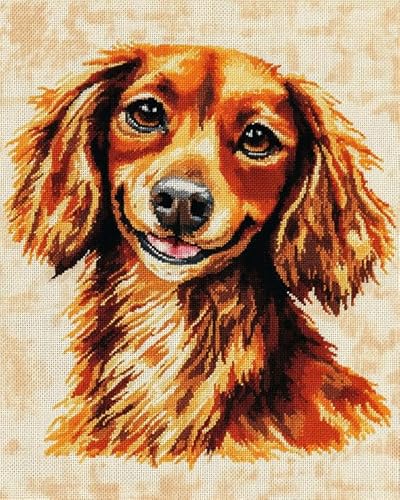 AxiangziK Haustier Hund Stickerei-Set Kreuzstich 11CT,Dackel,DIY Stickerei Set Erwachsene Anfänger Kinder,Cross Stitch Kit,40x50cm von AxiangziK